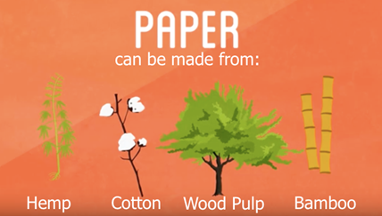 What is Paper Made Of