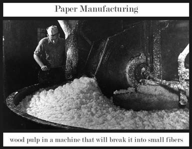 Wood Pulp Paper Manufacturing