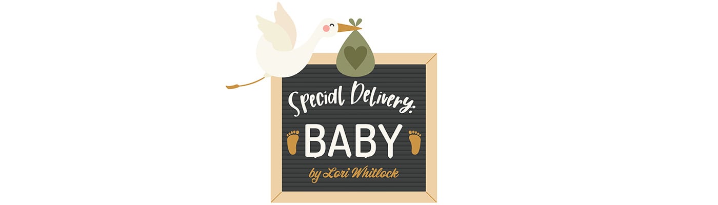 Echo Park Special Deliver Baby