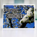 Happy Birthday to You Stamp Set - Scrapbook.com Exclusive