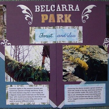Belcarra Park