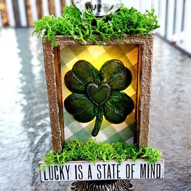 Lucky - St. Patrick&#039;s Day Home Decor