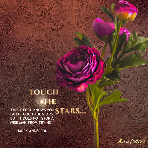 Touch the Stars...