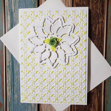 Lime Green and White Card