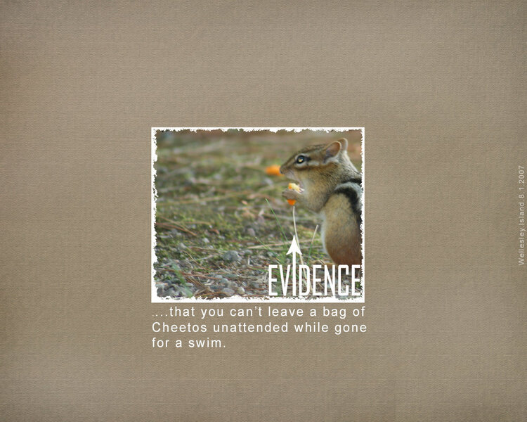 evidence.