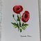 Hand Colored Floral Thank You Note Cards. Blank Inside