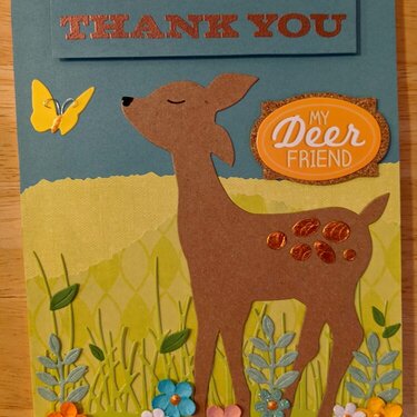 Thank You My Deer Friend