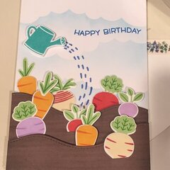Veggie Birthday card