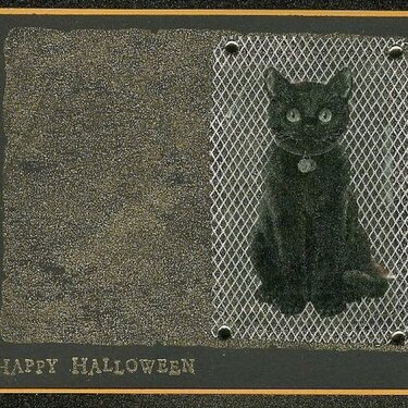 Happy Halloween -  Mesh Cat