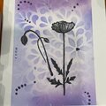 Poppy  Stamp with Stenciled background - a Lavinia Floral soft Lilac Card