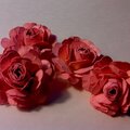 Pink Mini roses