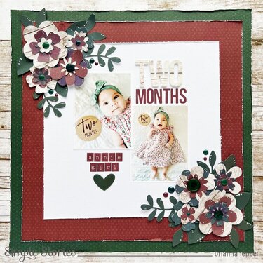 Baby Layout using Simple Stories Color Vibe Darks and Woods
