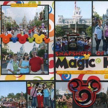 Snapshots of the Magic Kingdom