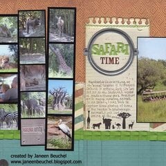 Safari Time