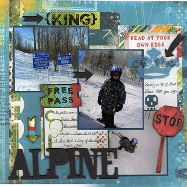 King Of The Alpine