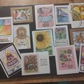 May donations to Cards for Kindness
