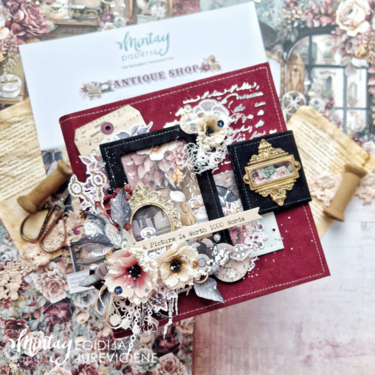 Album with "Antique shop" collection by Gida Jureviciene