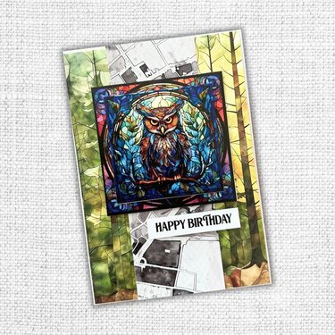 Animal Kingdom Cards 