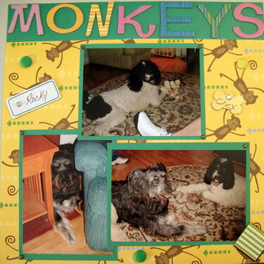 Hey Hey We&#039;re the Monkeys....