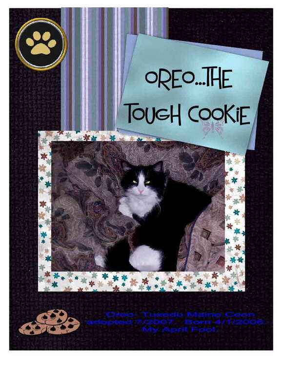 Oreo...My Tough Cookie