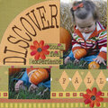Discover Fall