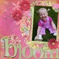 Bloom - 1st entry