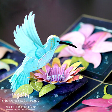 Explosion Box - Bibis Hummingbirds Collection by Spellbinders