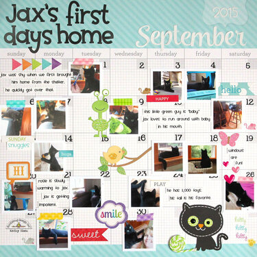 *** Doodlebug Design *** Jax's First Days Home