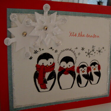Our family in penguins flocked Christmas card