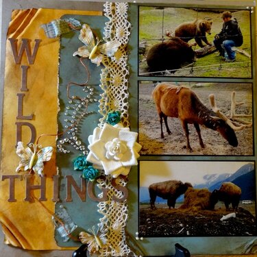 Wild Things (Alaska wildlife preserve)