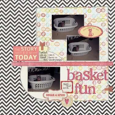 Basket Fun