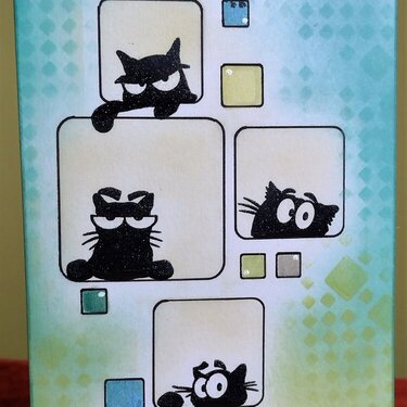Catlover&#039;s Card