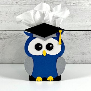 Graduation Owl Gift Box