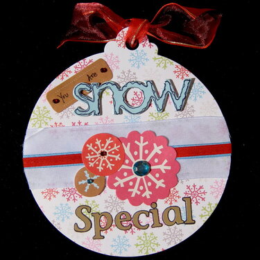 You are Snow Special Card