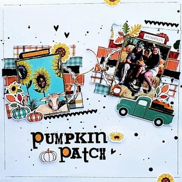 Pumpkin Patch (2)
