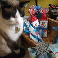 Xmas gifts and my cute Kuka ( Cookie ).