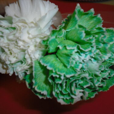 15. Flower dyed green for St. Patrick&#039;s Day {6 pts.}