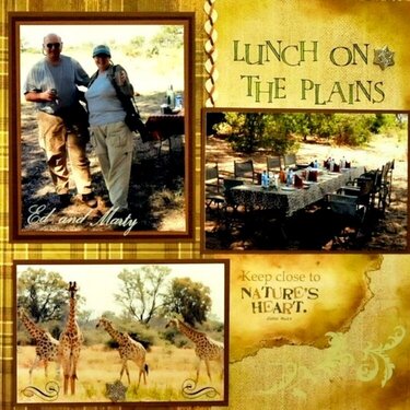 Lunch on the Plains - Botswana, Africa - RIGHT SIDE