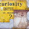 Curiosity Ignites The Imagination - Art Journal