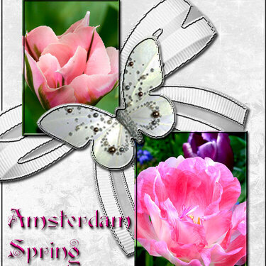 Amsterdam Spring flowers