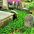 Charleston SC graveyard