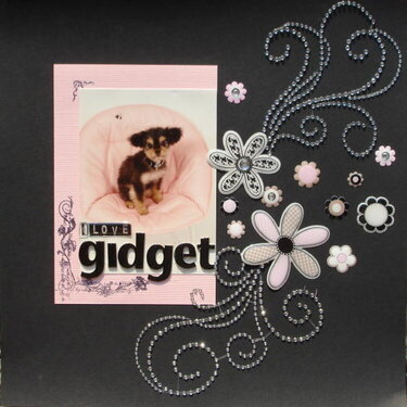 I love Gidget