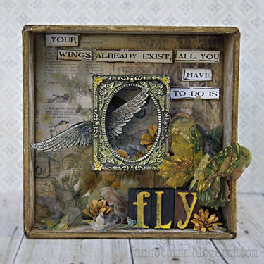 &quot;fly&quot; shadow box