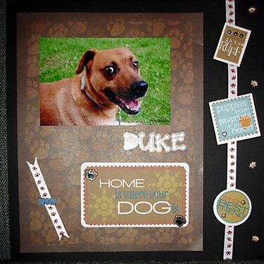 DUKE - Home is where your dog is