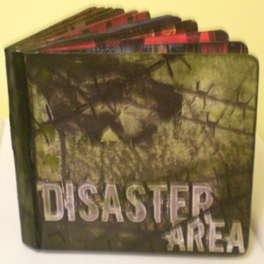 Disaster Area Board Book (cover)