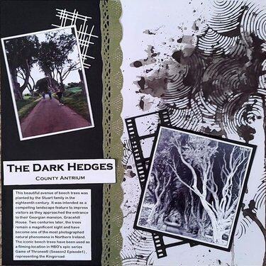 The Dark Hedges