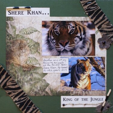 Shere Khan...King of the Jungle