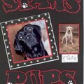 Star's Pups-Title Page