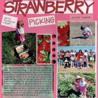 2001 Strawberry Picking