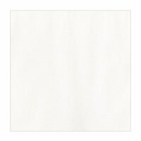 Bazzill Basics - 12 x 12 Specialty Paper - Vellum - White - 40 lb.